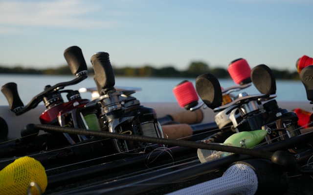 Ряд удилищ у воды